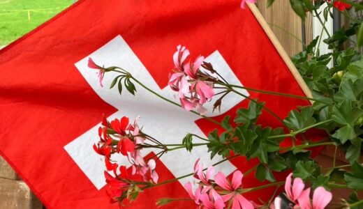 【スイス】4泊6日大満喫旅！〜ハプニングと帰国編〜